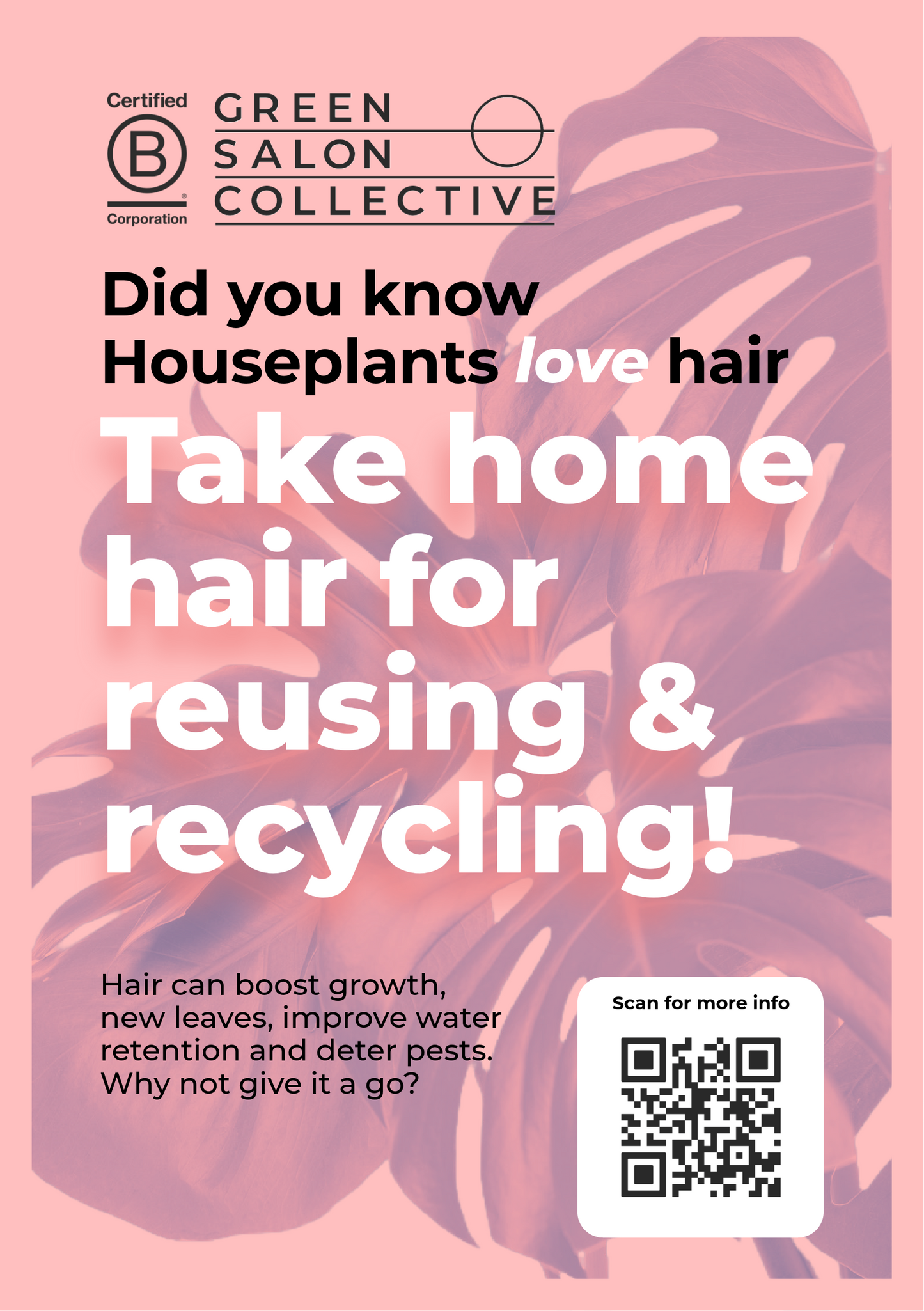 Green Salon Collective Strut Card x3