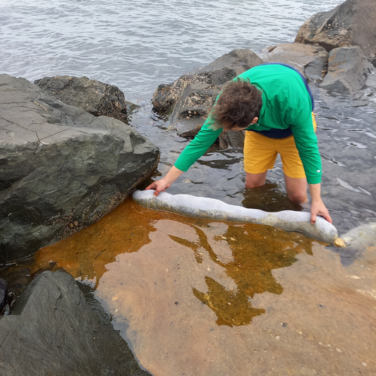 Did You Know Hair Can Help Clean Up Oil Spills?