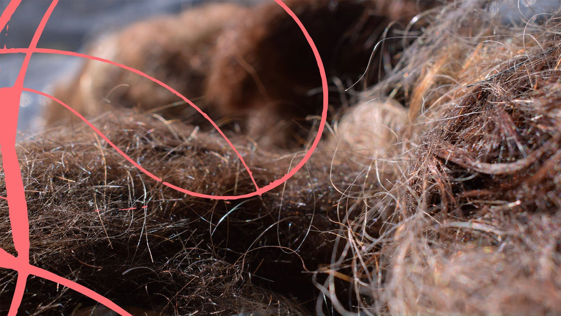 Recycling waste salon hair in 10+ different ways