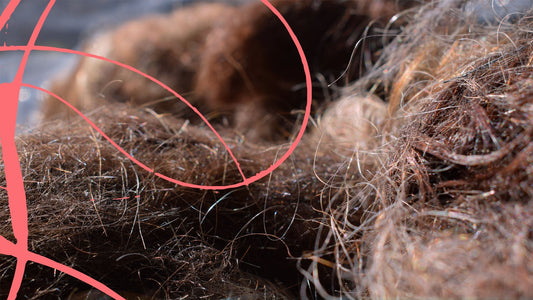Recycling waste salon hair in 10+ different ways