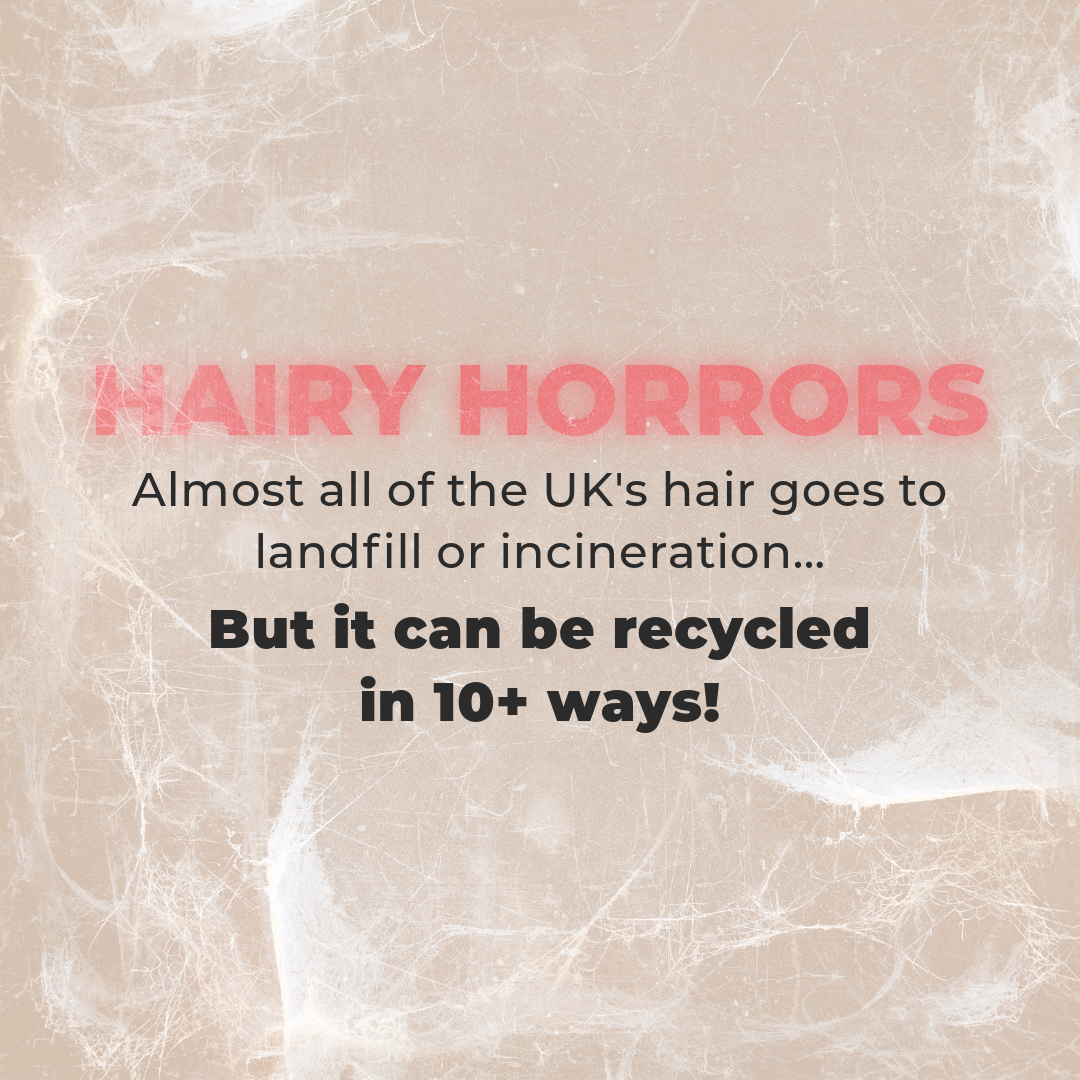 The Scary Truth About Where Your Waste Goes