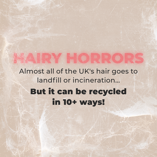 The Scary Truth About Where Your Waste Goes