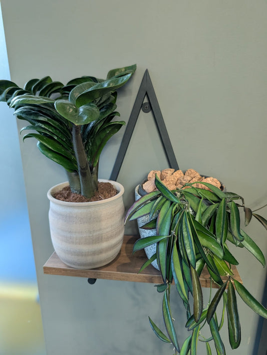 5 Things Worth the Money for Sustainable Salons
