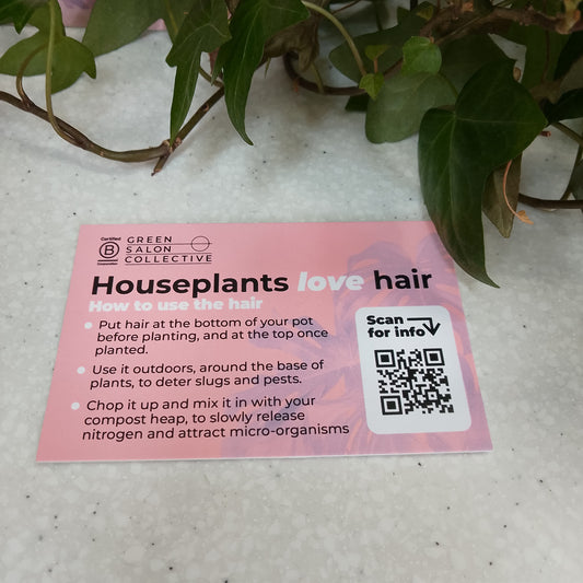 Hairy Houseplants Kit - Give your Clients Hair!